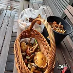 U Bartnika Z Basenem Na Mazurach Сasa de vacaciones *