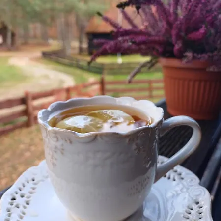 U Bartnika Z Basenem Na Mazurach * Guzowy Piec