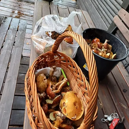 U Bartnika Z Basenem Na Mazurach 度假居 *