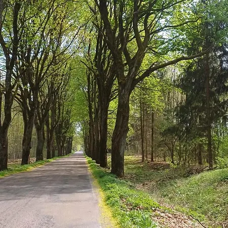 U Bartnika Z Basenem Na Mazurach 度假居 *