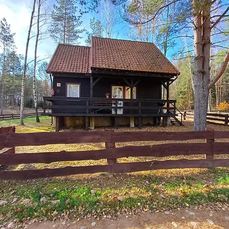 度假居 U Bartnika Z Basenem Na Mazurach *