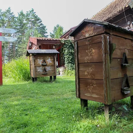 U Bartnika Z Basenem Na Mazurach 度假居