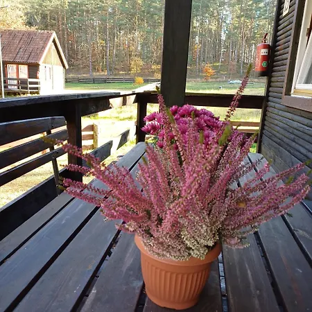 度假居 U Bartnika Z Basenem Na Mazurach *