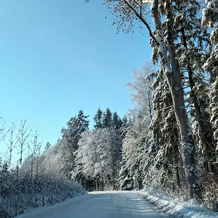 度假居 U Bartnika Z Basenem Na Mazurach Guzowy Piec